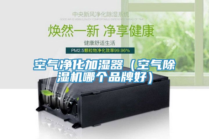 空气净化加湿器（空气猫咪成人官网哪个品牌好）
