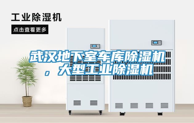 武汉地下室车库猫咪成人官网，大型工业猫咪成人官网