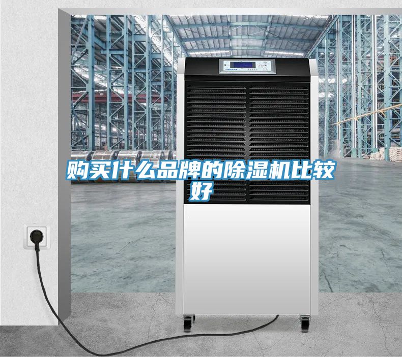 购买什么品牌的猫咪成人官网比较好