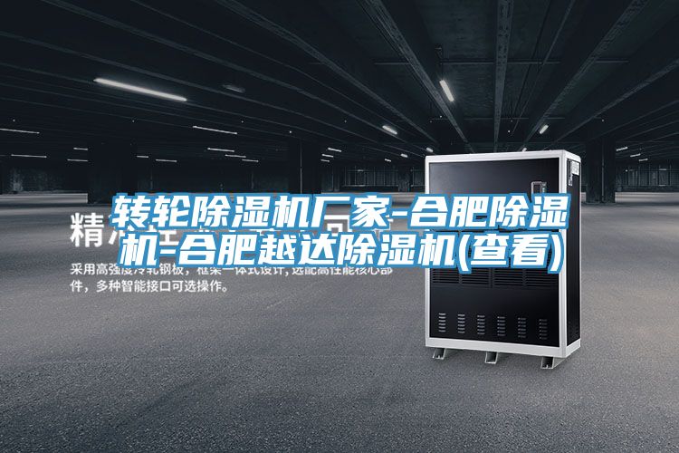 转轮猫咪成人官网厂家-合肥猫咪成人官网-合肥越达猫咪成人官网(查看)