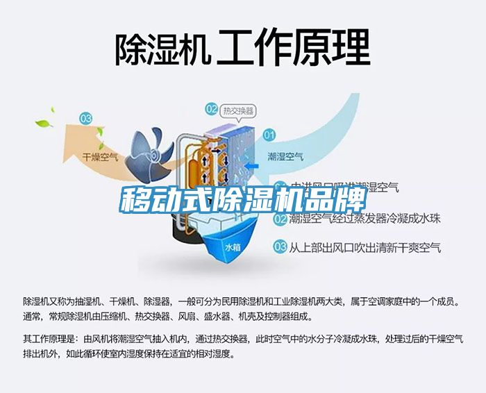 移动式猫咪成人官网品牌