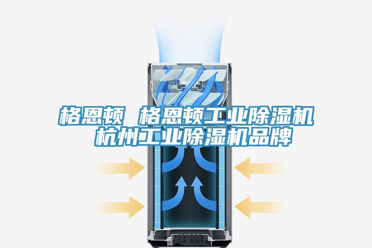 格恩顿 格恩顿工业猫咪成人官网 杭州工业猫咪成人官网品牌