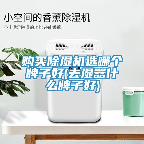 购买猫咪成人官网选哪个牌子好(去湿器什么牌子好)