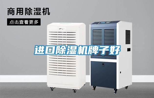 进口猫咪成人官网牌子好