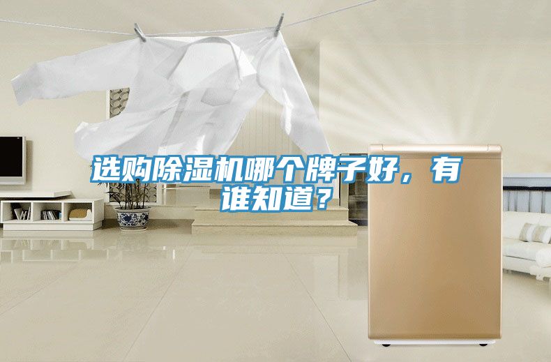 选购猫咪成人官网哪个牌子好，有谁知道？