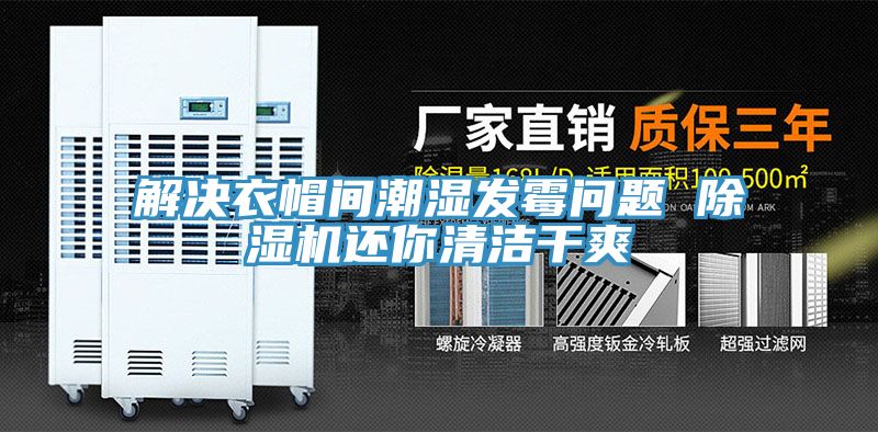 解决衣帽间潮湿发霉问题 猫咪成人官网还你清洁干爽