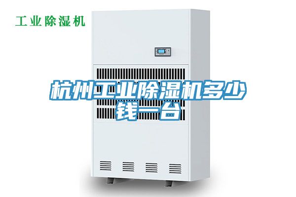 杭州工业猫咪成人官网多少钱一台