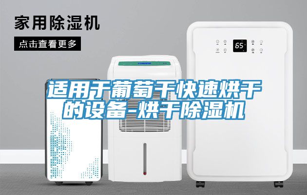 适用于葡萄干快速烘干的设备-烘干猫咪成人官网