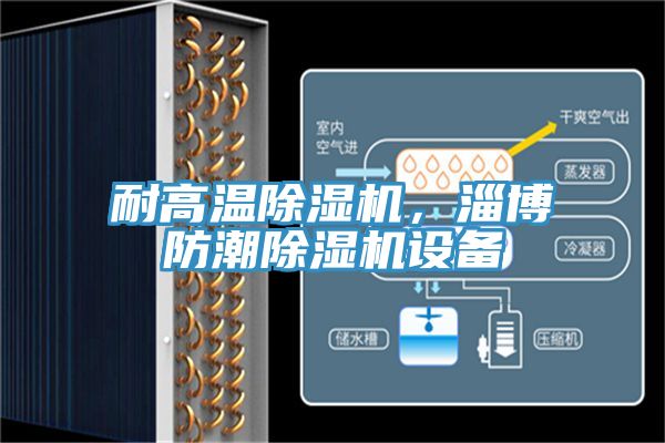 耐高温猫咪成人官网，淄博防潮猫咪成人官网设备