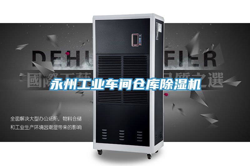永州工业车间仓库猫咪成人官网