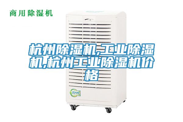 杭州猫咪成人官网,工业猫咪成人官网,杭州工业猫咪成人官网价格