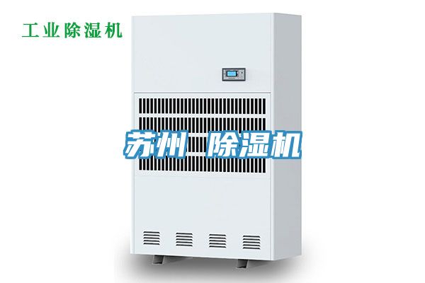 苏州 猫咪成人官网
