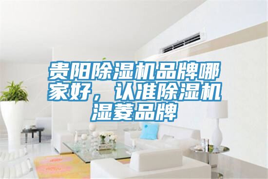 贵阳猫咪成人官网品牌哪家好，认准猫咪成人官网湿菱品牌