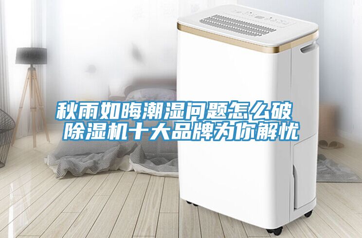 秋雨如晦潮湿问题怎么破 猫咪成人官网十大品牌为你解忧