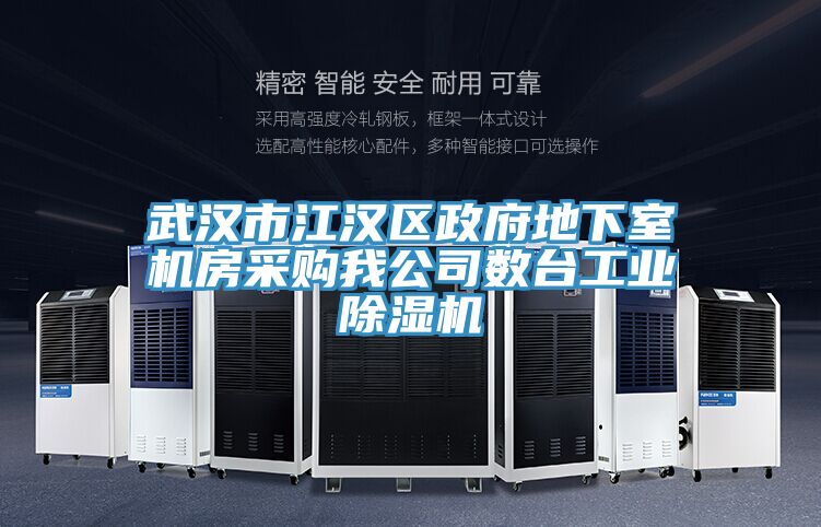 武汉市江汉区政府地下室机房采购我公司数台工业猫咪成人官网