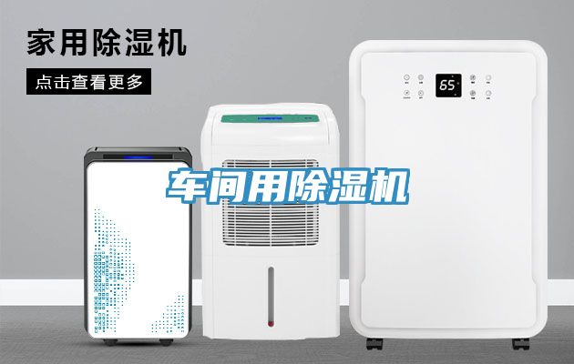 车间用猫咪成人官网