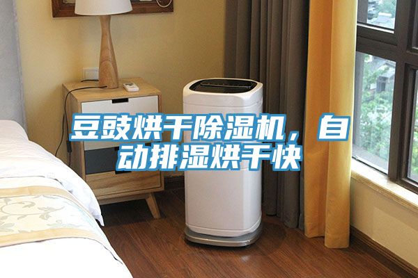 豆豉烘干猫咪成人官网，自动排湿烘干快