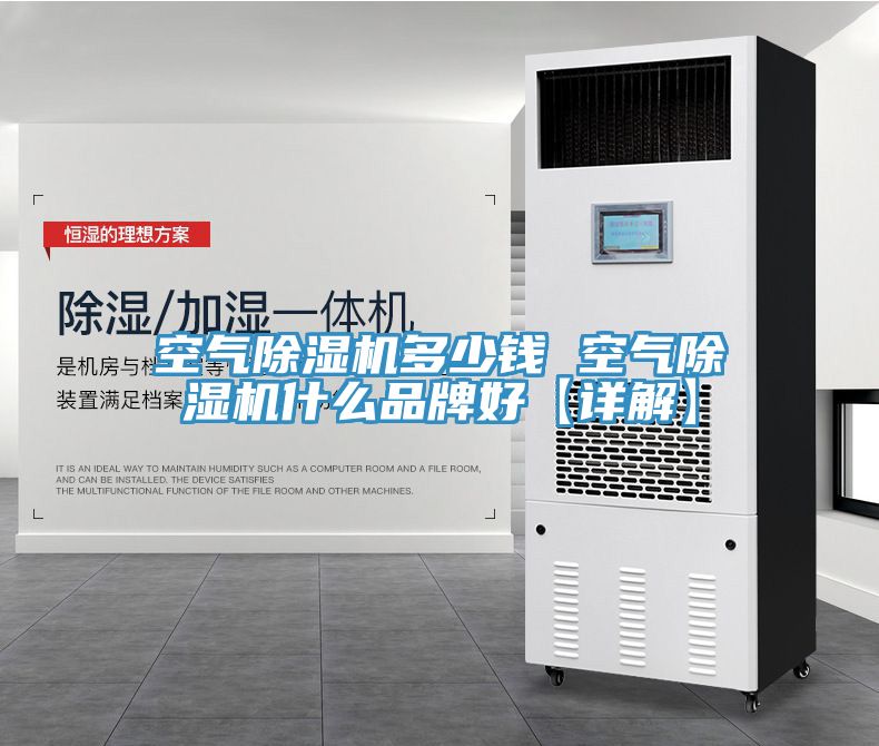 空气猫咪成人官网多少钱 空气猫咪成人官网什么品牌好【详解】