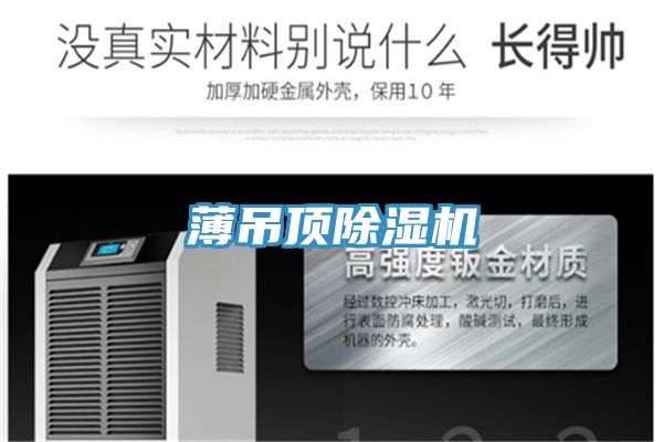 薄吊顶猫咪成人官网