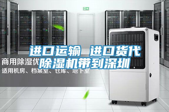 进口运输 进口货代猫咪成人官网带到深圳