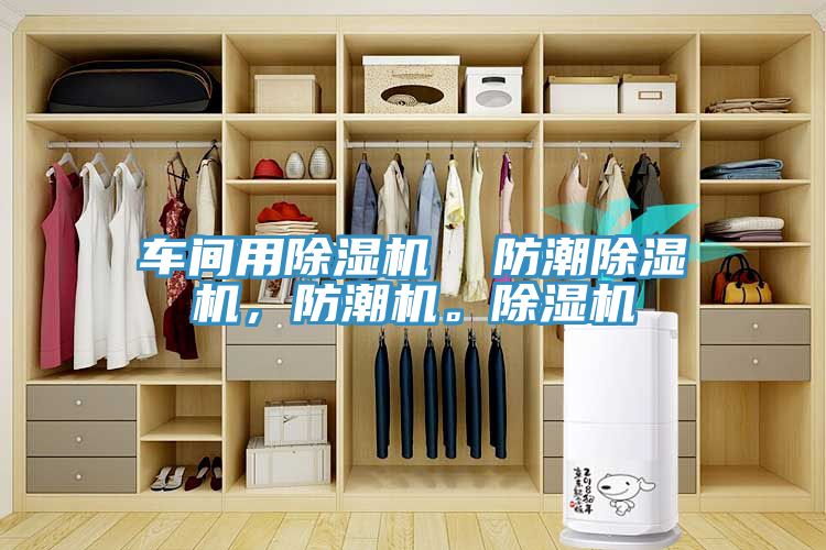 车间用猫咪成人官网  防潮猫咪成人官网，防潮机。猫咪成人官网