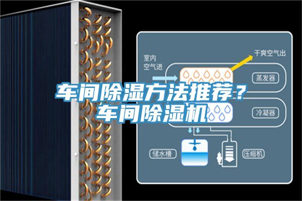 车间除湿方法推荐？车间猫咪成人官网