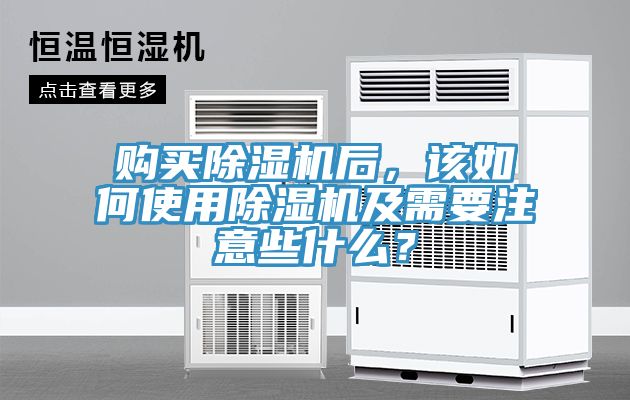 购买猫咪成人官网后，该如何使用猫咪成人官网及需要注意些什么？