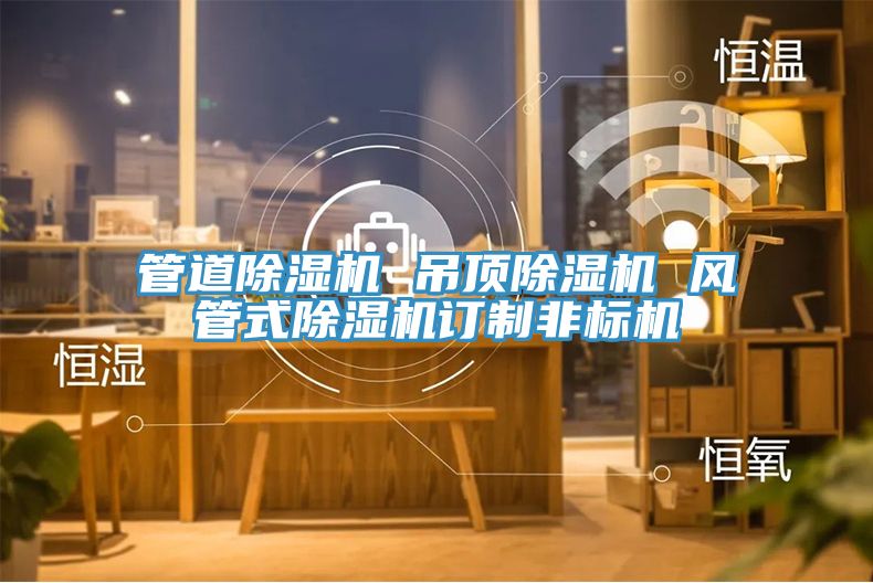 管道猫咪成人官网 吊顶猫咪成人官网 风管式猫咪成人官网订制非标机