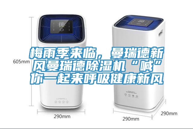 梅雨季来临，曼瑞德新风曼瑞德猫咪成人官网“喊”你一起来呼吸健康新风