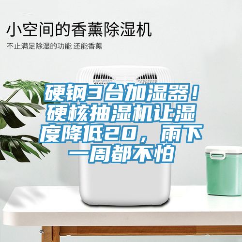 硬钢3台加湿器！硬核抽湿机让湿度降低20，雨下一周都不怕