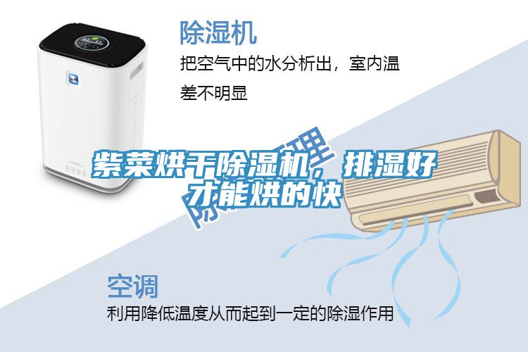 紫菜烘干猫咪成人官网，排湿好才能烘的快