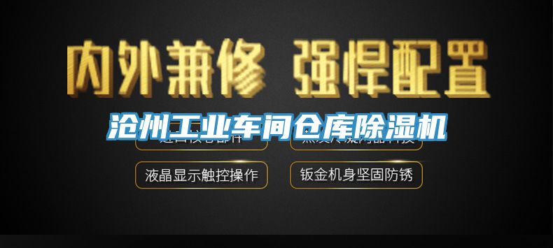 沧州工业车间仓库猫咪成人官网
