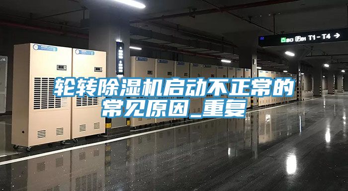轮转猫咪成人官网启动不正常的常见原因_重复
