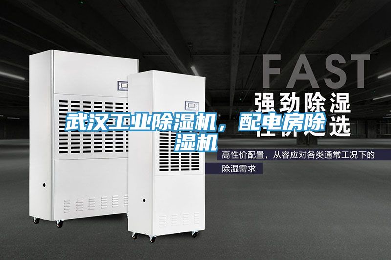 武汉工业猫咪成人官网，配电房猫咪成人官网