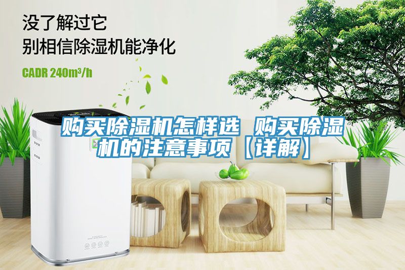 购买猫咪成人官网怎样选 购买猫咪成人官网的注意事项【详解】