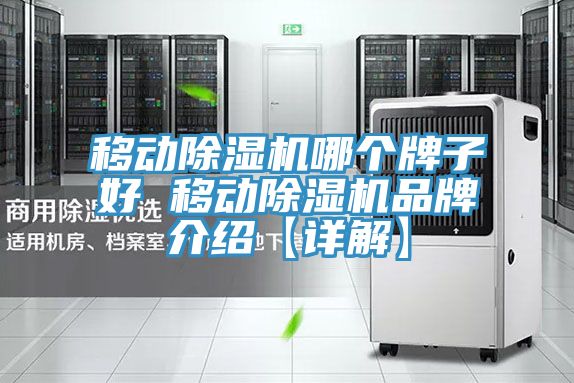 移动猫咪成人官网哪个牌子好 移动猫咪成人官网品牌介绍【详解】