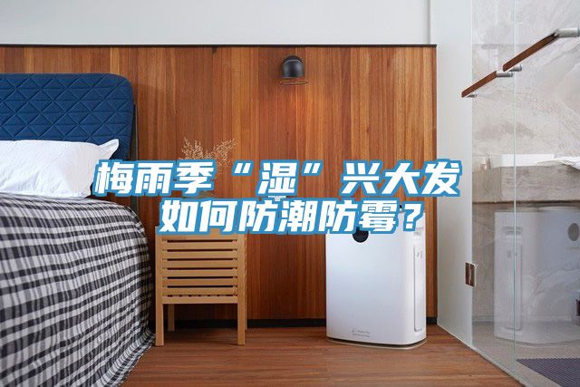 梅雨季“湿”兴大发 如何防潮防霉？