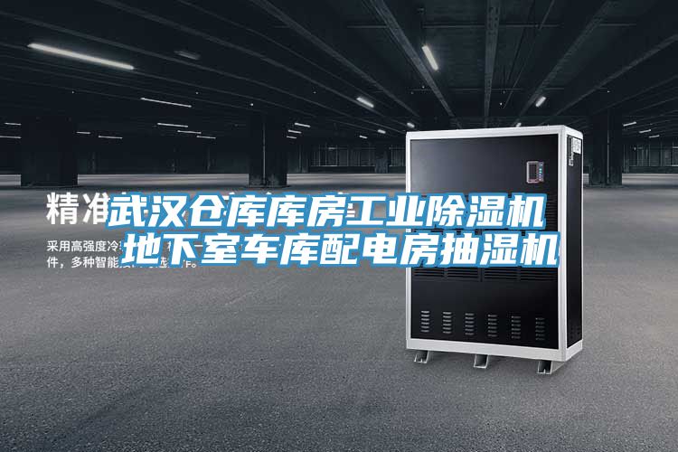 武汉仓库库房工业猫咪成人官网 地下室车库配电房抽湿机