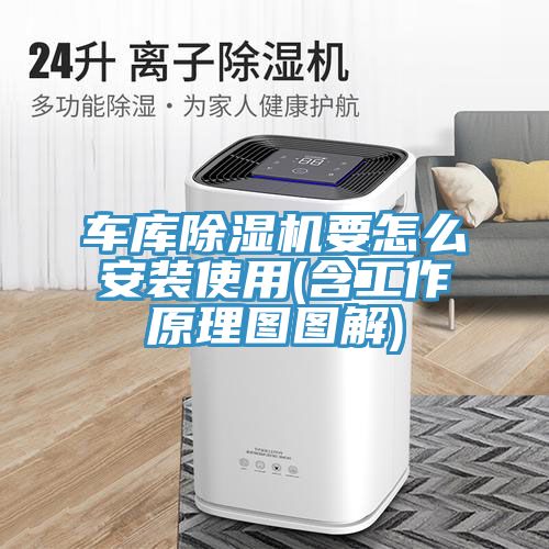 车库猫咪成人官网要怎么安装使用(含工作原理图图解)