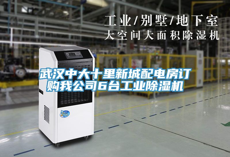 武汉中大十里新城配电房订购我公司6台工业猫咪成人官网