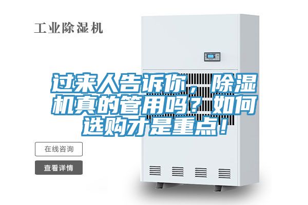 过来人告诉你，猫咪成人官网真的管用吗？如何选购才是重点！