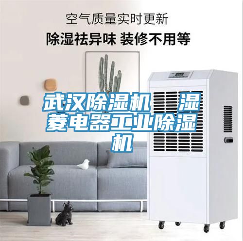 武汉猫咪成人官网  湿菱电器工业猫咪成人官网