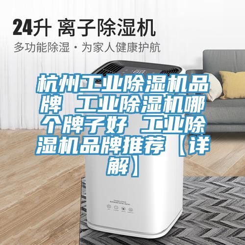 杭州工业猫咪成人官网品牌 工业猫咪成人官网哪个牌子好 工业猫咪成人官网品牌推荐【详解】