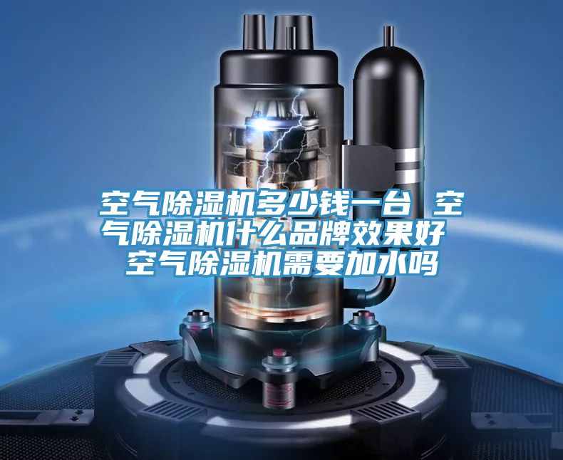 空气猫咪成人官网多少钱一台 空气猫咪成人官网什么品牌效果好 空气猫咪成人官网需要加水吗