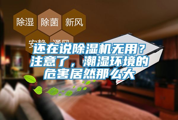 还在说猫咪成人官网无用？注意了，潮湿环境的危害居然那么大