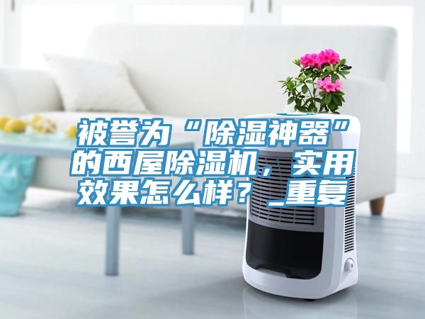 被誉为“除湿神器”的西屋猫咪成人官网，实用效果怎么样？_重复