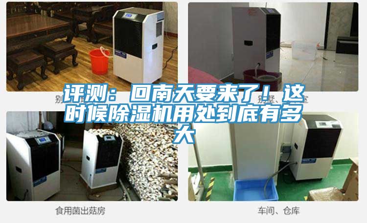 评测：回南天要来了！这时候猫咪成人官网用处到底有多大
