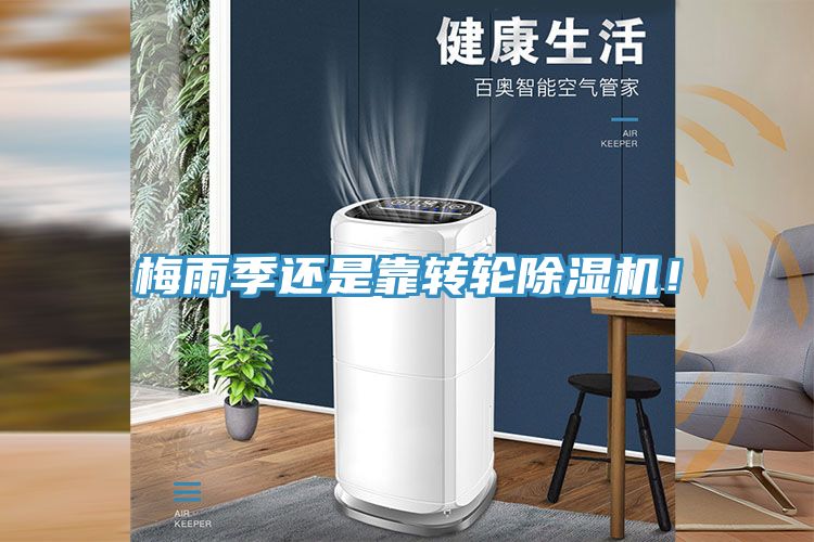 梅雨季还是靠转轮猫咪成人官网！