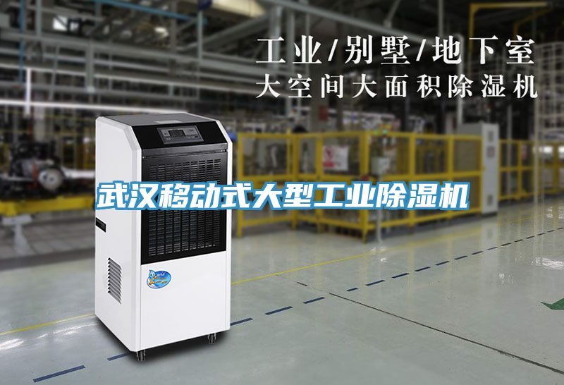 武汉移动式大型工业猫咪成人官网