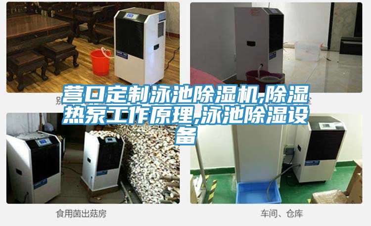 营口定制泳池猫咪成人官网,除湿热泵工作原理,泳池除湿设备